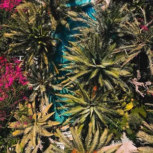 Flamingo Hotel&spa - Pet Friendly Hotel Ölüdeniz