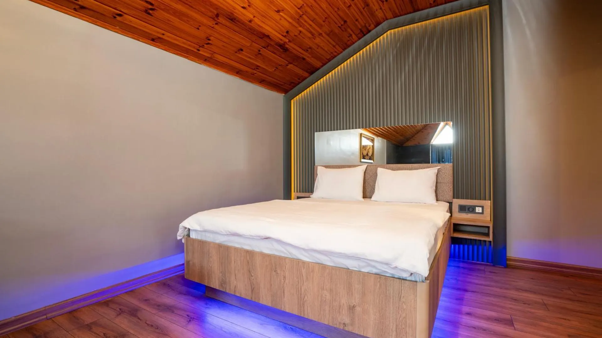 Royal Nest Hotel Istanbul Turkey